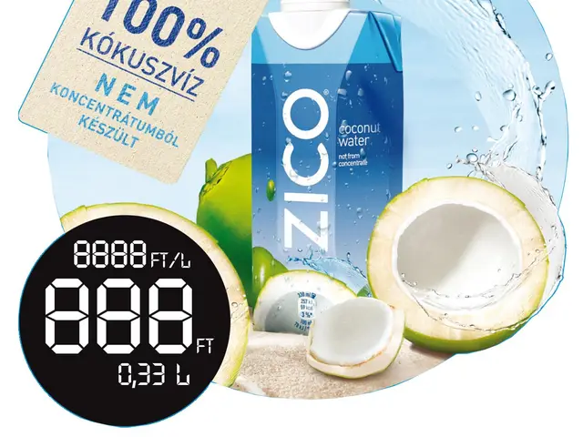 Zico POS grafika