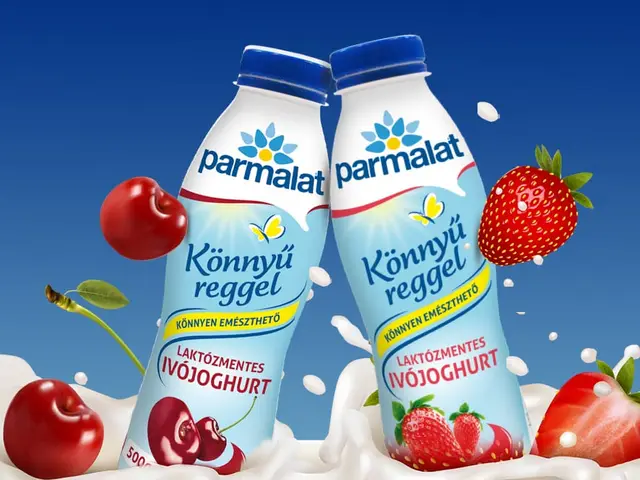 Lectalis Konnyu Reggel Laktozmentes Ivojoghurt