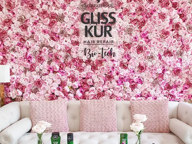 Swarzkopf Gliss Kur Gliss Workshop Cloe Cafe Budapest