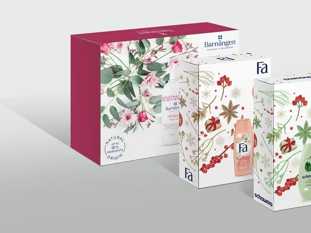 Csomagolastervezés Henkel Xmas Dobozok