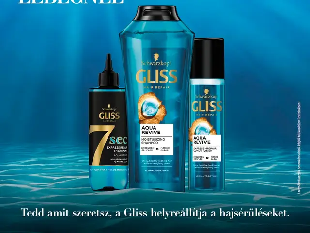Gliss digital kreatív