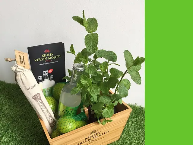 Kinley Mojito Doboz