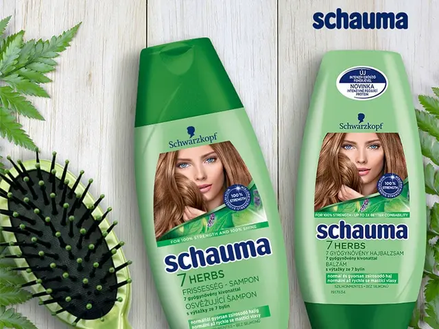 Schwarzkopf digital kreatív