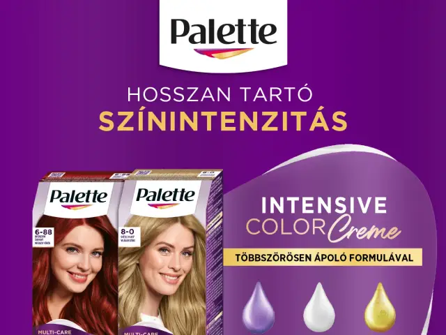 Palette Icc FB Poszt 1200x1200px
