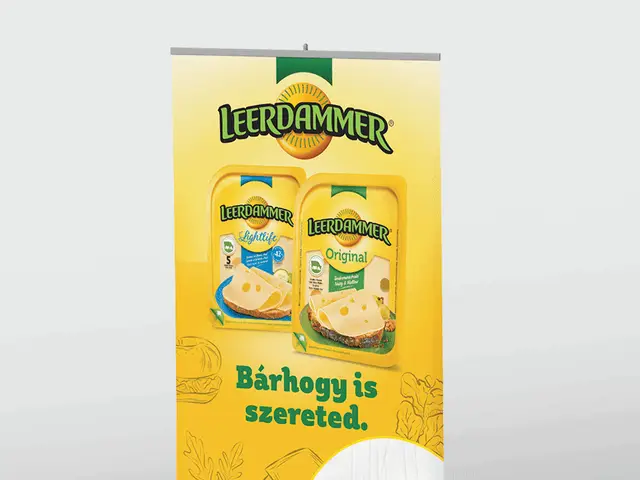 Leerdammer rollup